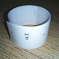   7  Brother, Silver Reed   